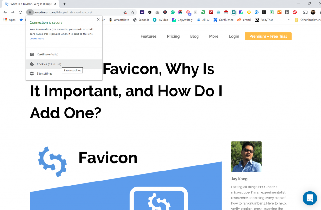 Browser Anda telah menyimpan cache situs Anda sebagai situs tanpa favicon